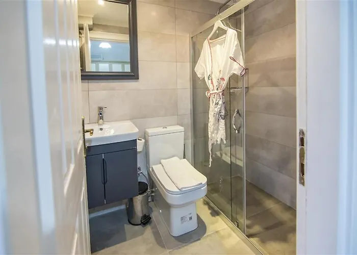 公寓 Gokay - 3 Bedroom In Ovacik 费特希耶